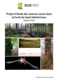 RapportEtudeChauves-sourisSaintMichelFreyr_Rapport2020