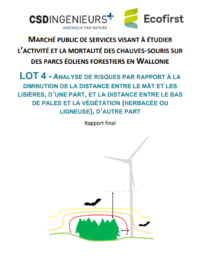 Analyse risques CS Lot 4
