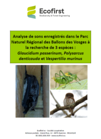 Couverture Rapport PNBV