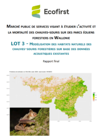 Lot 3 Chauves souris