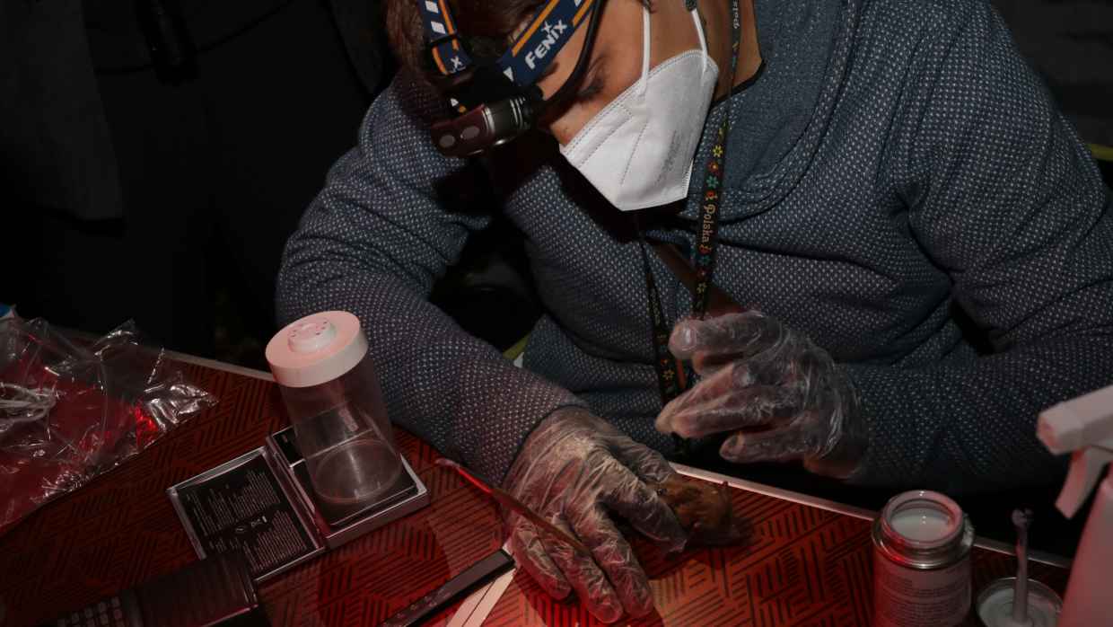 Image Pistage Grand Murin