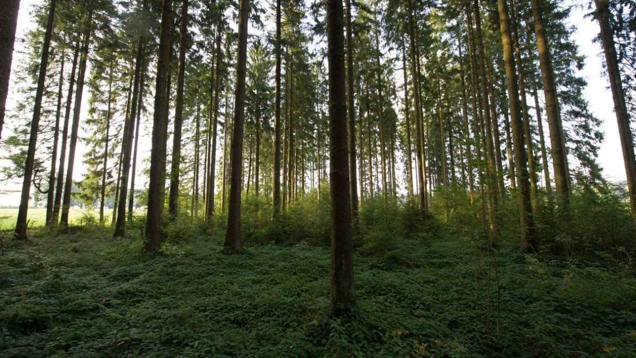 Propriétés privées 2