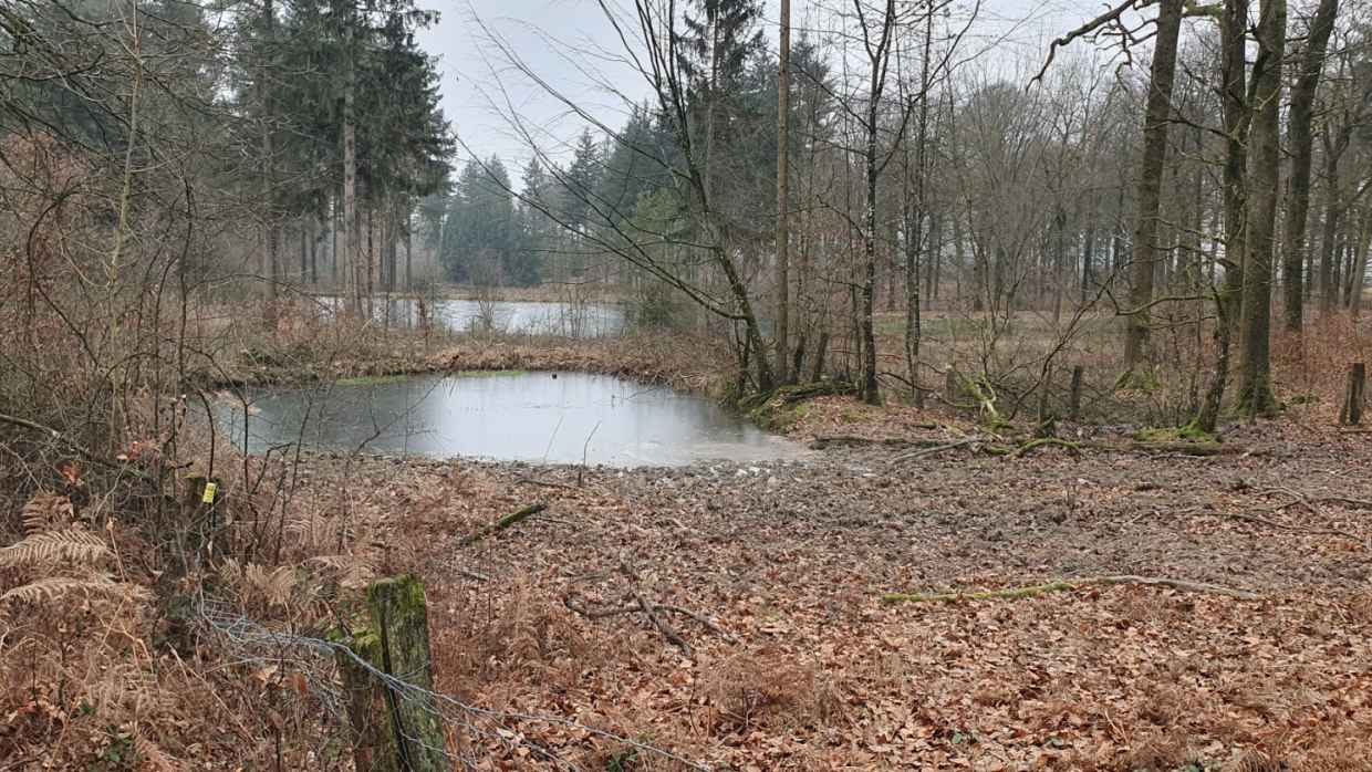 SRBF Ma parcelle en réserve