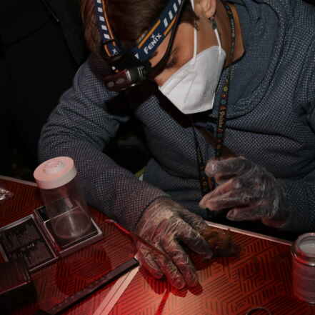 Image Pistage Grand Murin