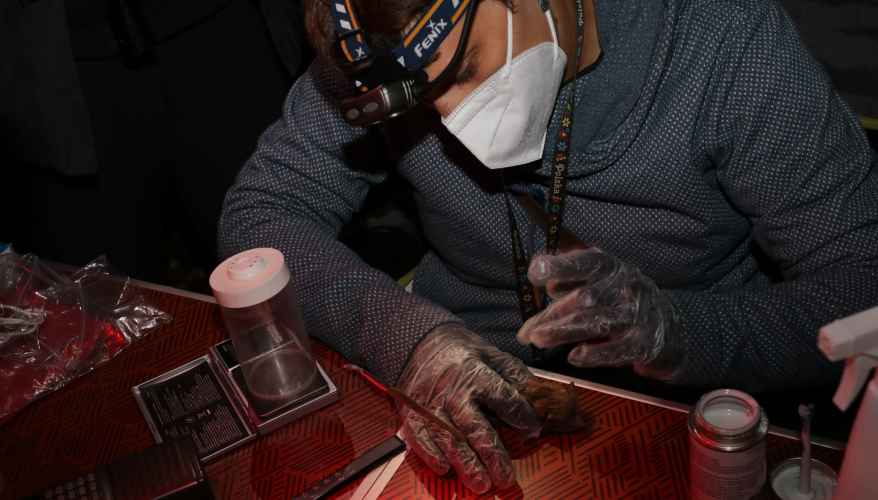 Image Pistage Grand Murin