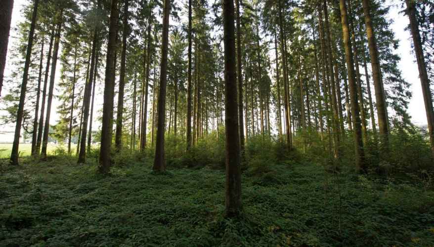 Propriétés privées 2