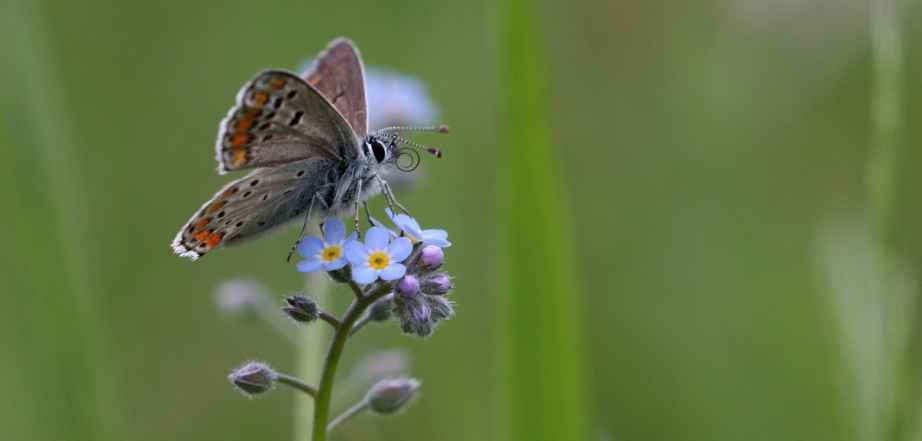 2016 06 01 13 23 38 v1