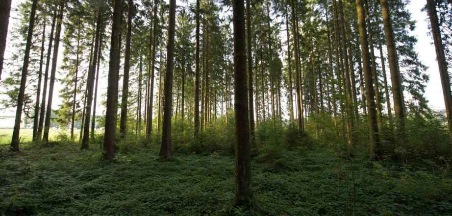 Propriétés privées 2