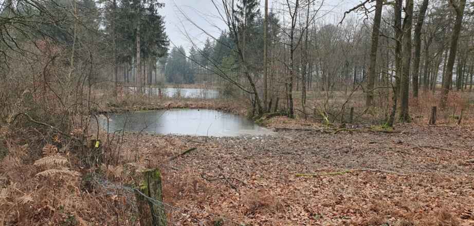 SRBF Ma parcelle en réserve