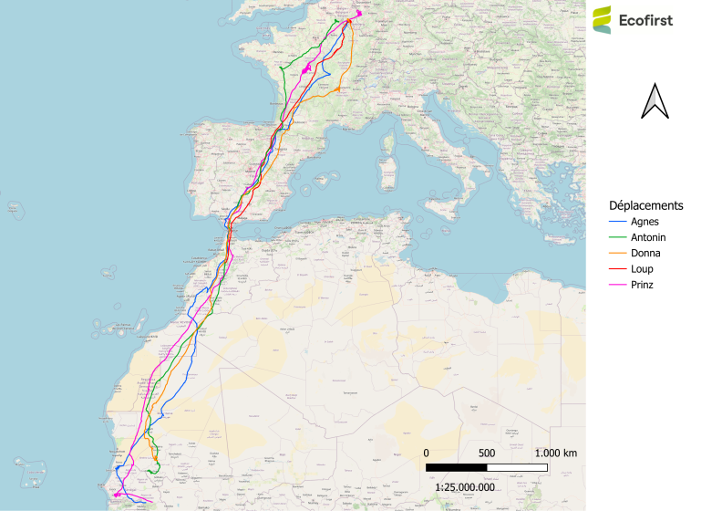 Bst vue ensemble osm